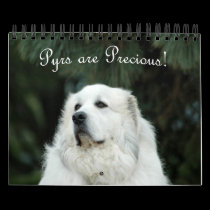 2013 Great Pyrenees Calendar calendars
