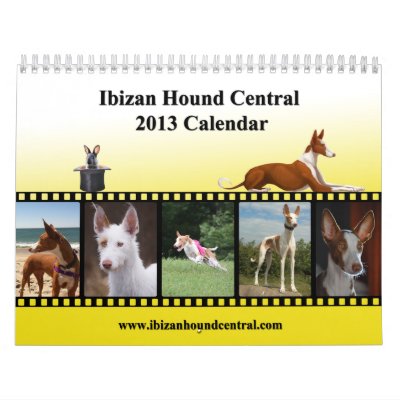 2013_IHC_Calendar_cover.png