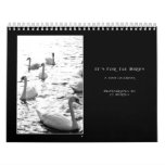 2013 Irish Bird Calendar