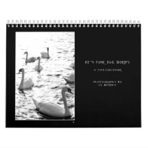 2013 Irish Bird Calendar