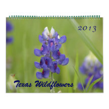 2013 Photos of North Central Texas Wildflowers Wall Calendars