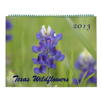 2013 Photos of North Central Texas Wildflowers Wall Calendars