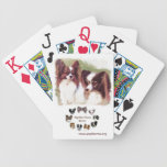 2013 PHR Cover Art playing cards