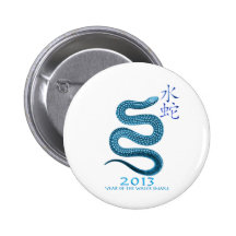2013 PIN