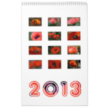 2013 - poppy calendar