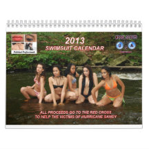 2013 Swimsuit Calendar