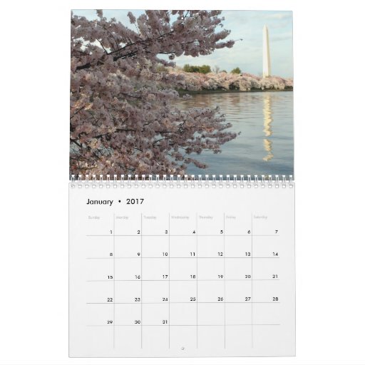2013 Washington DC Cherry Blossom Calendar Zazzle