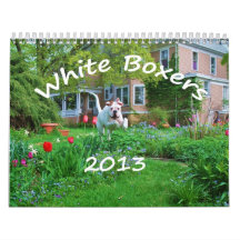 2013 White Boxer Calendar