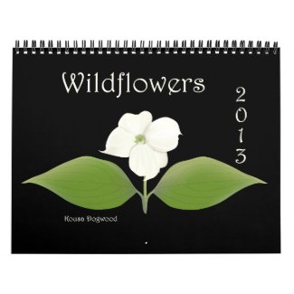 2013 Wildflower Calendar