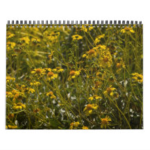 2013 Wildflower Scripture Calendar