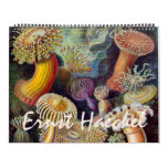 2014 Ernst Haeckel Art, Biology and Botany Wall Calendars