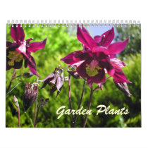 2014 Garden Plants Calendar