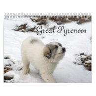 2014 Great Pyrenees Puppy Calendar