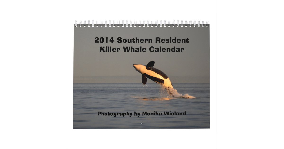 2014 Southern Resident Killer Whale Calendar Zazzle