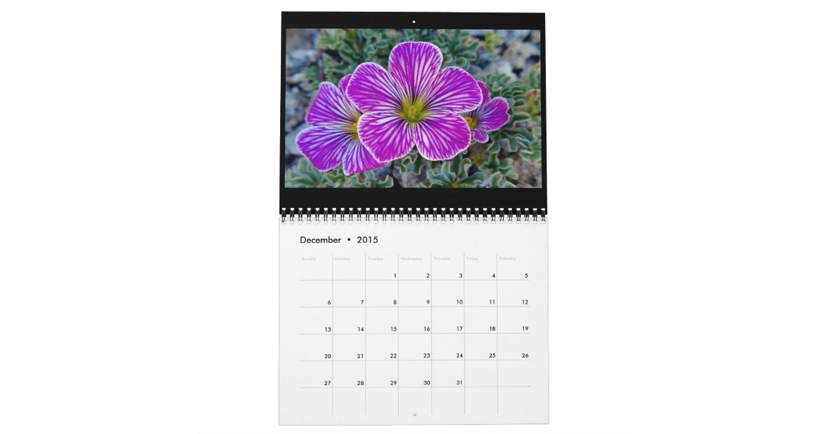 2015 Dave's Garden Calendar Zazzle