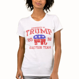 2016 Donald Trump Election Team