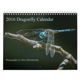 2016 Dragonfly Calendar by Steve Borichevsky
