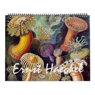 2016 Ernst Haeckel Art, Biology and Botany Calendar