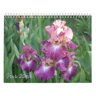 2016 Iris Calendar