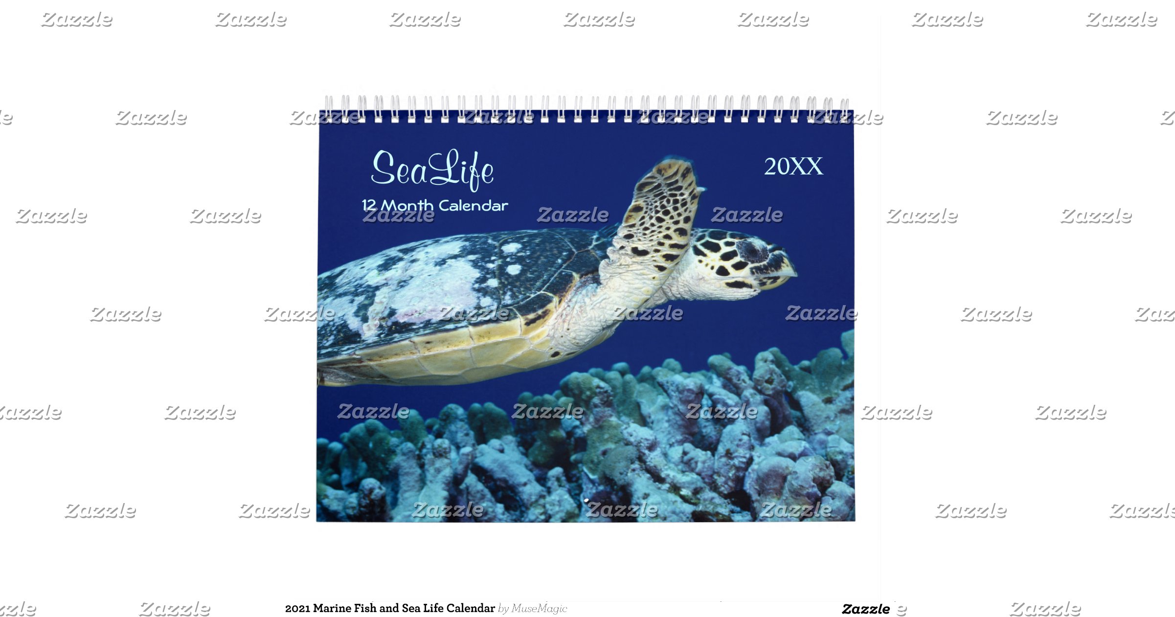 2016_marine_fish_and_sea_life_calendar