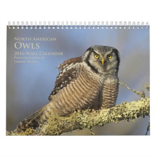 2016 North American Owl Wall Calendar