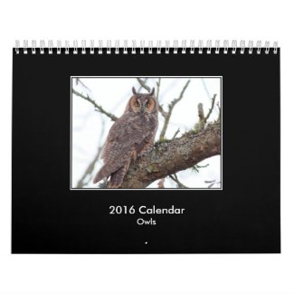 2016 Owl Calendar