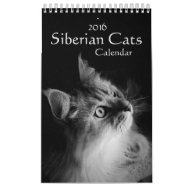 Cat Themed Calendars For 2015 The New Year Will Be On Us