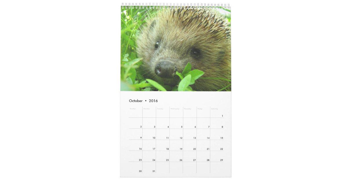 2017 Wildlife Treasures Wall Calendar Zazzle