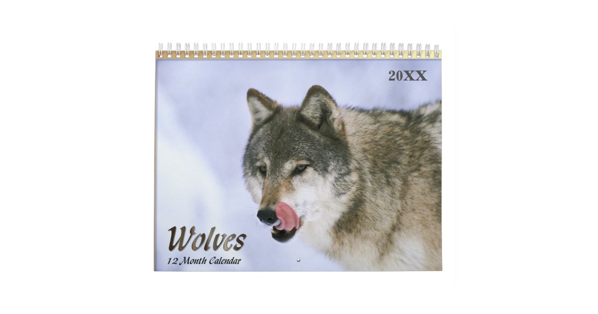 2017 Wolves Wildlife Calendar Zazzle