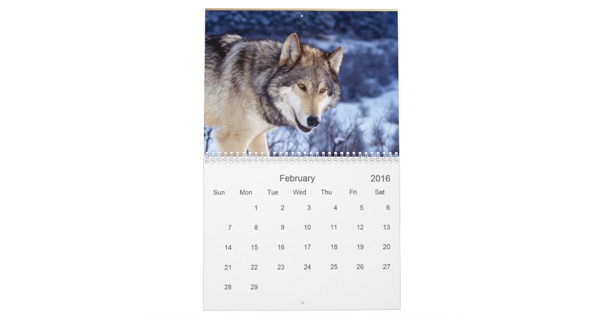 2017 Wolves Wildlife Calendar Zazzle
