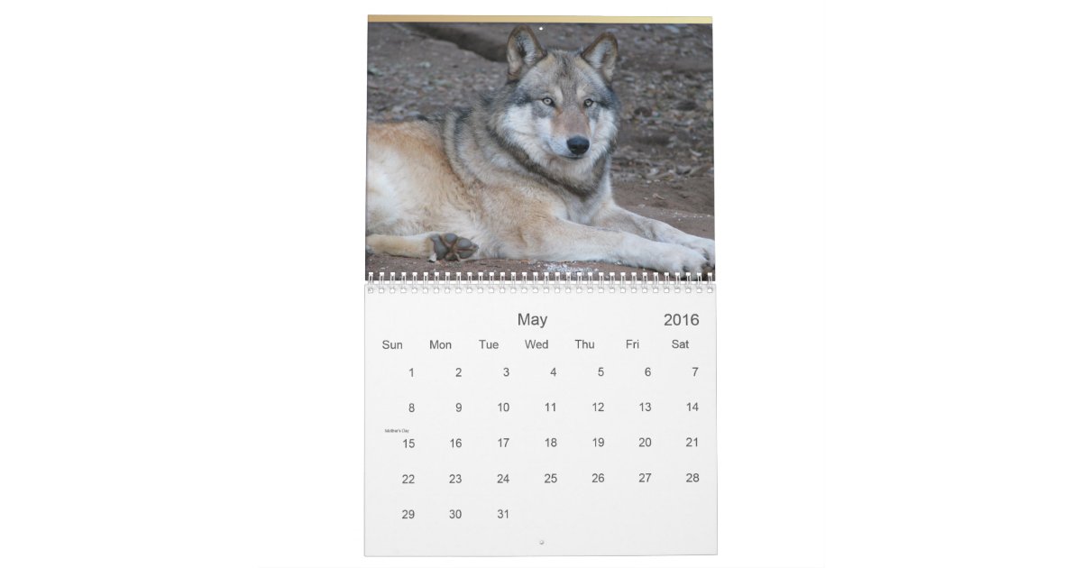 2017 Wolves Wildlife Calendar Zazzle