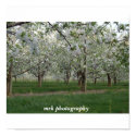 201 (2), mrk photography posters by flicka506 201 (2), mrk photography posters