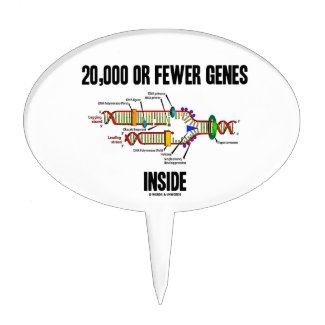 20,000 Or Fewer Genes Inside (DNA Replication) Cake Topper