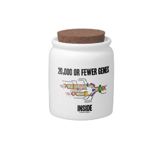 20,000 Or Fewer Genes Inside (DNA Replication) Candy Jars