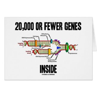 20,000 Or Fewer Genes Inside (DNA Replication) Card