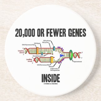 20,000 Or Fewer Genes Inside (DNA Replication) Beverage Coaster