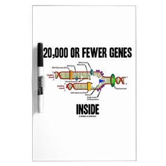 20,000 Or Fewer Genes Inside (DNA Replication) Dry Erase Boards
