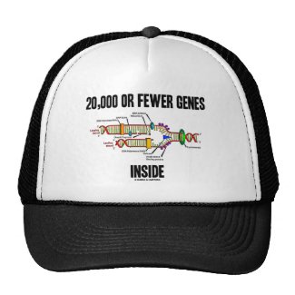 20,000 Or Fewer Genes Inside (DNA Replication) Hats