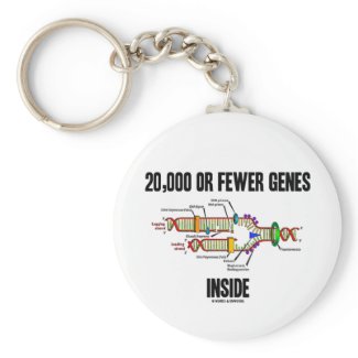 20,000 Or Fewer Genes Inside (DNA Replication) Key Chains