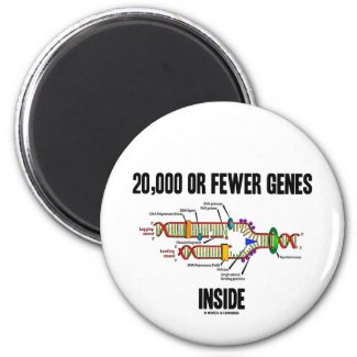 20,000 Or Fewer Genes Inside (DNA Replication) Refrigerator Magnet