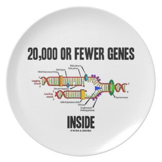 20,000 Or Fewer Genes Inside (DNA Replication) Plate