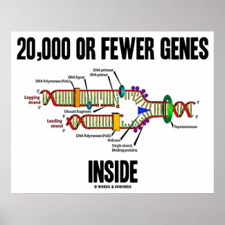 20,000 Or Fewer Genes Inside (DNA Replication) Posters