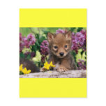 20_baby_animals (15) adorable cute darling pets postcard