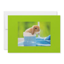 20_baby_animals (4) BABY BUNNY RABBIT blue greens Custom Invites