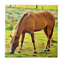 216 - BIG SPRINGS HORSE TILES