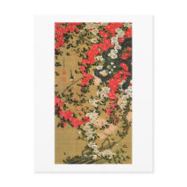 21. 薔薇小禽図, 若冲 Roses & Small Bird, Jakuchū Post Cards
