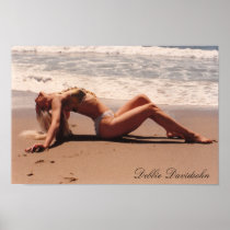 22.42" X 15" POSTER DEBBIE DAVIDSOHN