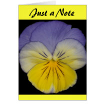 22 Blue Yellow Pansy Cards