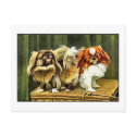 22b  Two Pekingese Dogs (variation) postcards