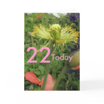 22nd Birthday cards